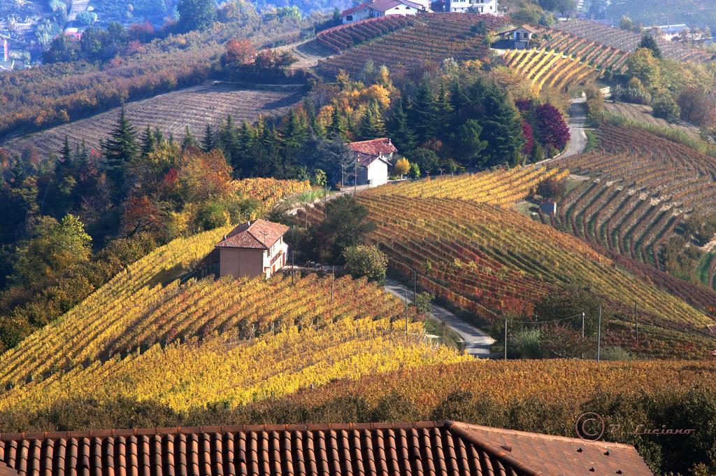 Maison d'hôtes Casa Badinot à Diano dʼAlba Extérieur photo